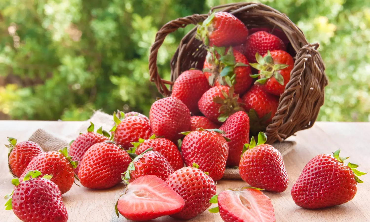 Step Into Mahabaleshwar’s World of Strawberries and Beyond