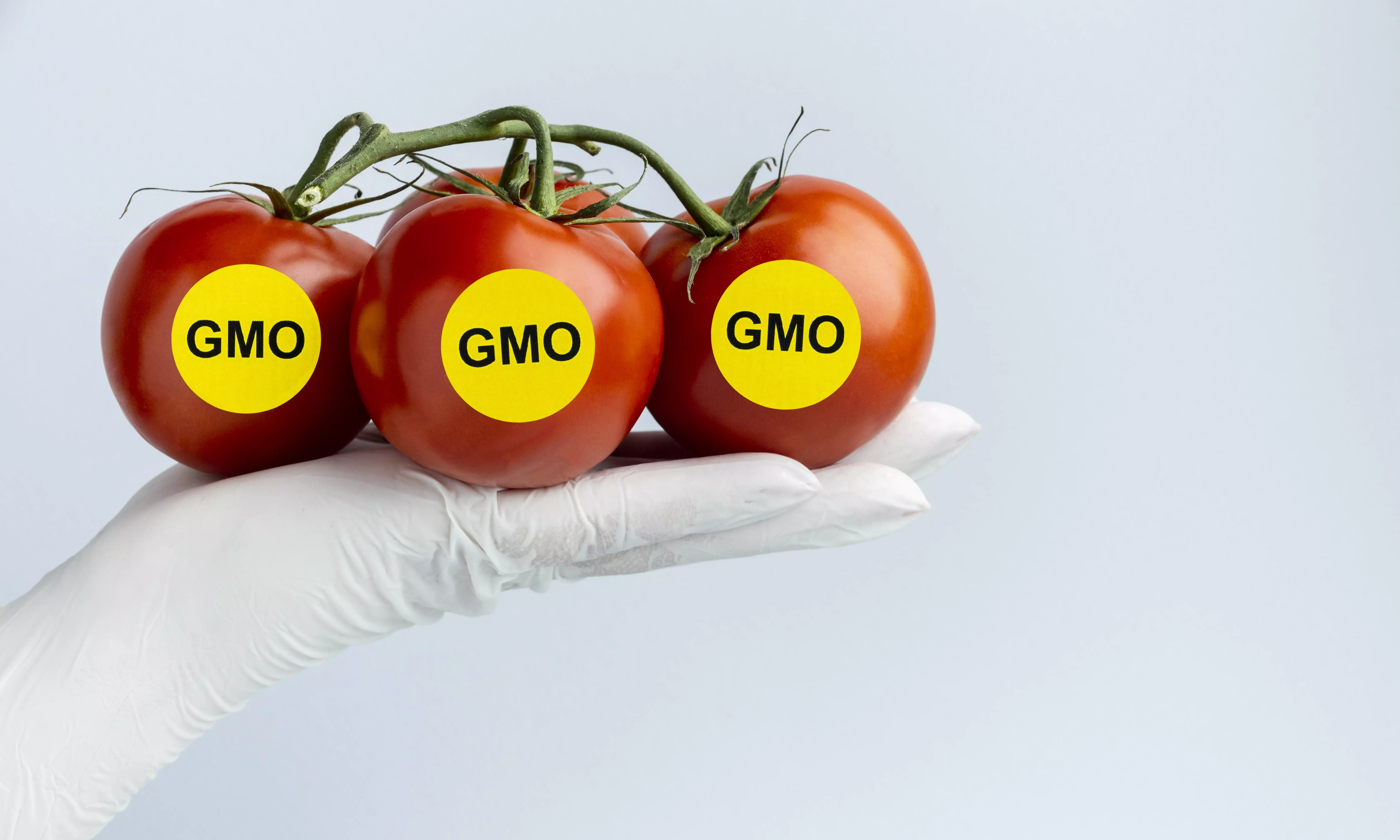 GMOs Uncovered: How Genetic Modification is Shaping the Future of Food and Farming