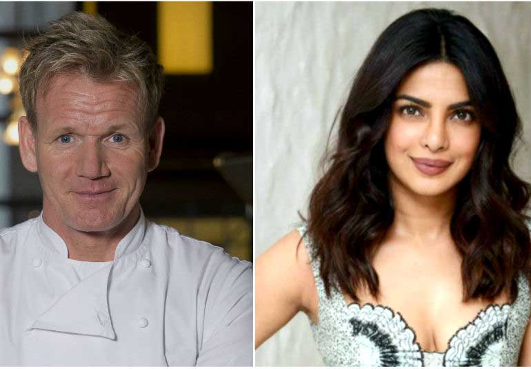 Did Gordon Ramsay Call Pee Cees Khichdi As Dogs Dinner?