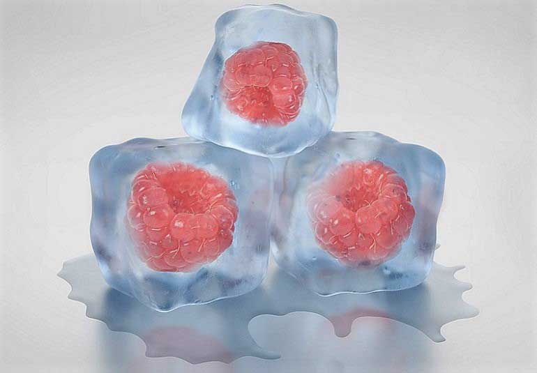 DIY: Flavoured Ice Cubes