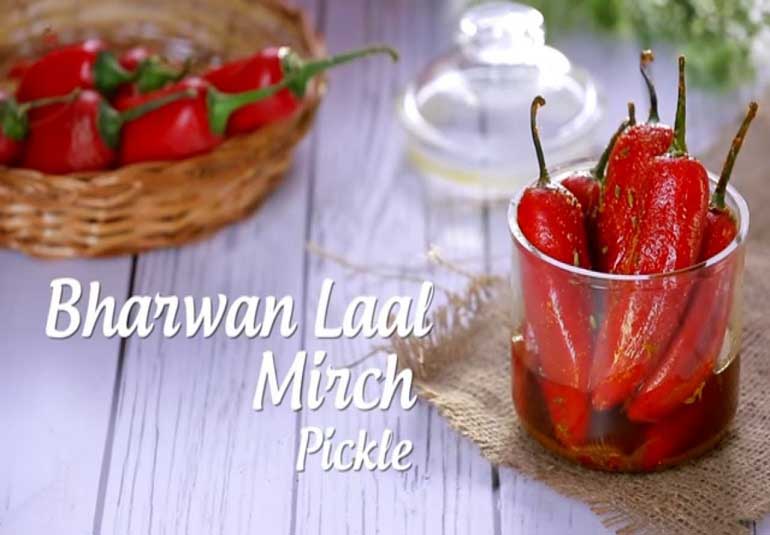 Pickles of India : Stuffed Red Chilli Pickle | Bharwa Lal Mirch Ka Achaar