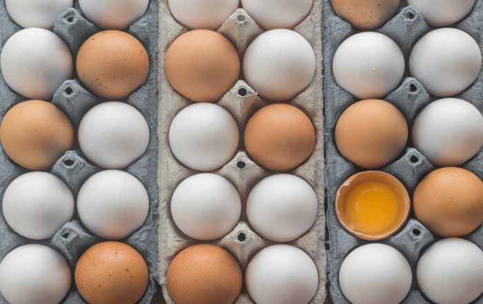 Eggs will keep you full longer and provide sustenance on long winter days